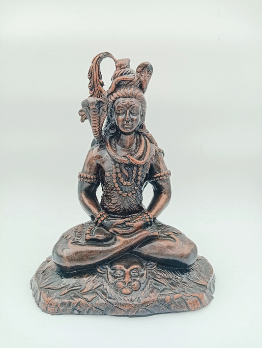 Shiv Ji Meditation Pose